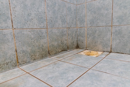 Bathroom Tiles Silverton